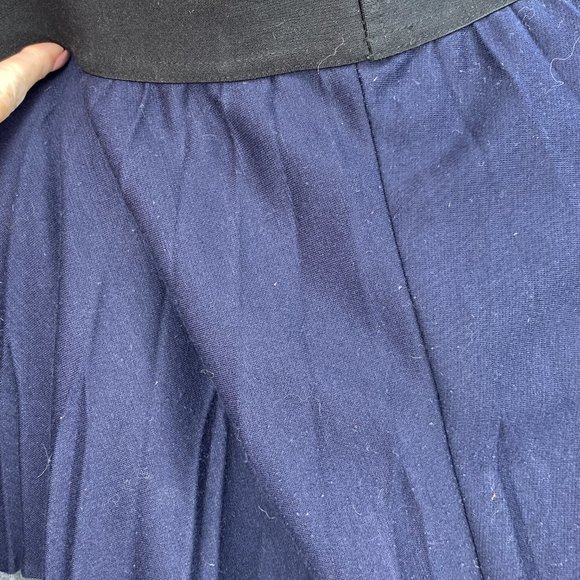 PANIZ Pleated Dual Stripe Skirt - Picture 7 of 8